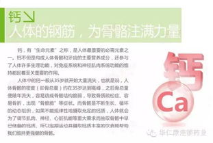 鈣鎂咀嚼片 守護骨骼與放松身心的雙重利器